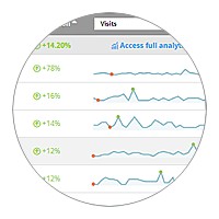 SeoSamba all-in-one analytics