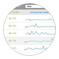 SeoSamba all-in-one analytics