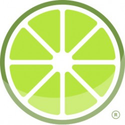 lime painting core values