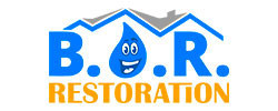 best option restoration franchise business opportunity