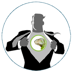 Formation SEO et Web marketing